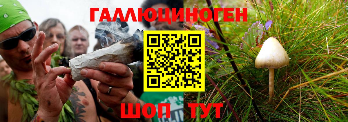 Галлюциногенные грибы Psilocybine cubensis  Вход с VPN  Вязьма 